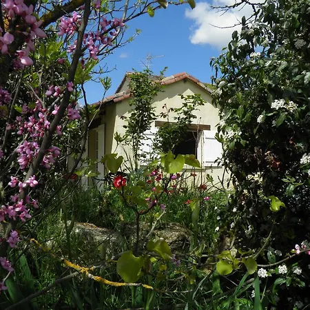 La Vigneronne *